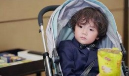 爆料老板的萌照视频播放,萌态可掬引网友热议