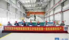 国家电投爆料新闻网,揭秘能源巨头最新动态与战略布局